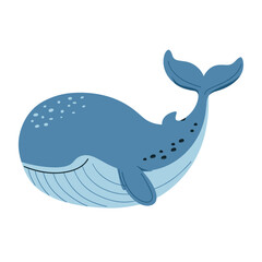 Obraz premium A large blue whale with a big tail swimming