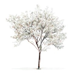 Obraz premium Create a watercolor painting of a single cherry blossom tree in full bloom against a white background