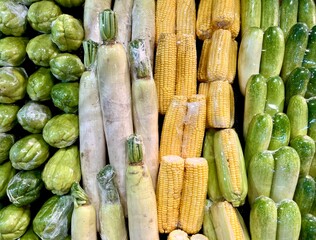 Chayote, white radish daikon, corn, and cucumbers wrapped in plastic. Green vegetables raw cooking ingredients isolated on horizontal ratio market display drawer storage.