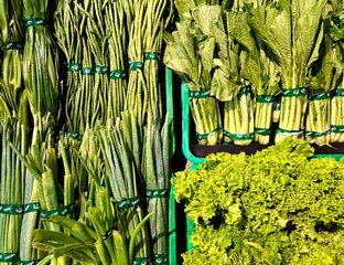 Chives, long beans, lettuces, and mustard greens healthy green vegetables raw cooking ingredients isolated on horizontal ratio market green storage display drawer photography.