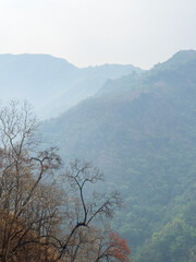 Trees from a mountain village, Rapti, Nepal