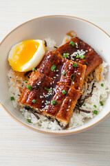 eel rice bowl or unagi rice bowl