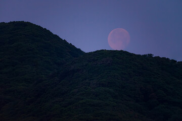 Obraz premium 夜明けの空で落ちてゆく赤い立待月が山に触れる20240525-1