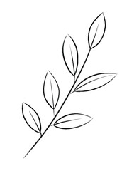 tea leaf　①