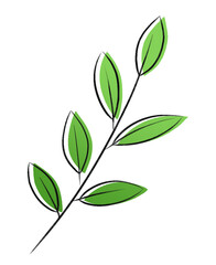 tea leaf　③