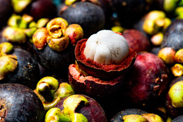 Mangosteen. Mangosteen is known as a fruit that has very high levels of antioxidants. Garcinia mangostana