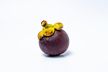 Mangosteen fruit isolated on white background. Mangosteen is known as a fruit that has very high levels of antioxidants. Garcinia mangostana