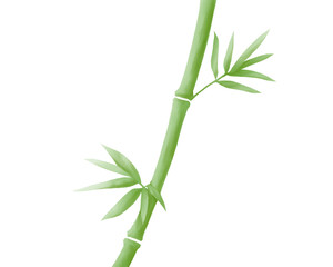 シンプルな青竹の水彩イラスト