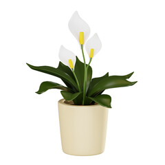 Serene Beauty of Peace Lily Pot for Home Decor and Interior Design. 3D Render