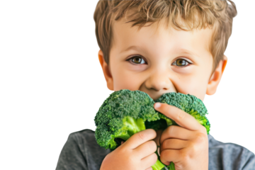 Young boy eats broccoli on a white background