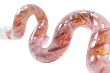 Reproductive genetics biotechnology on a white background