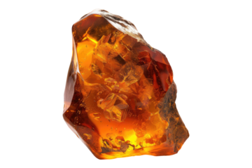 Amber fossil isolated on white background