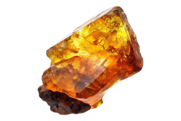 Amber fossil isolated on white background