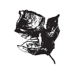 Passion fruit leaf vector drawing in hand drawn style with rough charcoal and graphite texture. Flat black leaf granadilla leaf symbol for cosmetics or yogurt packaging and healthy food labels.