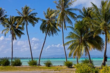 Arriving into Bora Bora, whose airport sits isolated on a small islet on the edge of the lagoon