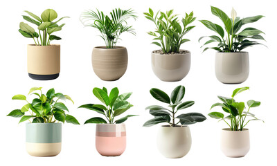 Fototapeta premium collection of potted indoor green plant on transparent background