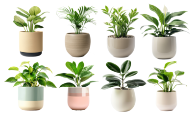 collection of potted indoor green plant on transparent background