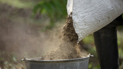 Metal buckets and garden shovels are used to fertilize coffee plants.