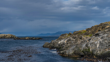 Seabirds- petrels, cormorants are settled on the slope of a rocky island in the ocean. The waves are foaming at the cliffs. Algae on the surface of blue water. Mountains against the sky and clouds. 