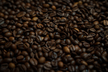 Colorful background with coffee beans in close-up