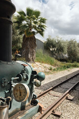 steam locomotive on rails against the background of a palm tree