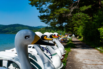 出番待ちのスワンボート