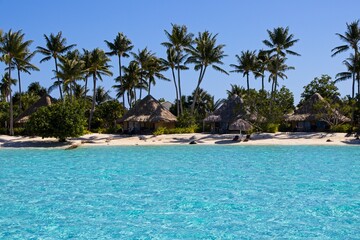 Obraz premium Overwater bungalows of the Intercontinental Le Moana sit over crystal clear, warm, pastel-colored waters of Bora Bora