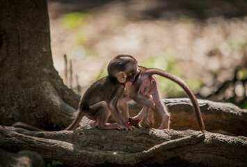 mother and baby child