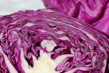 Obraz premium red cabbage on a white background
