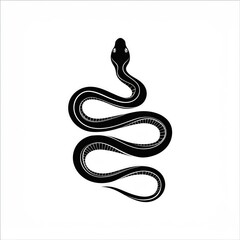 snake illustration art design or logo snake or icon snake or vector snake
