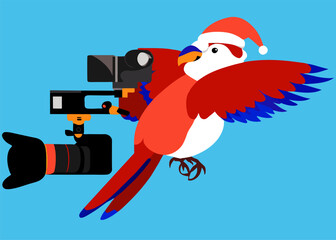 a wise parrot with a camera, vector illustration flat 2