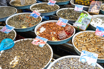 Different kinds of bivalves for sale at a market