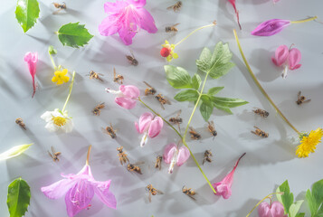 Fototapety na wymiar - Fototapeta24.pl