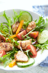 Healthy Salad with Chicken Breast, Cherry Tomatoes, Cucumber, Orange Pepper, Endive and Red Onion. Close up.