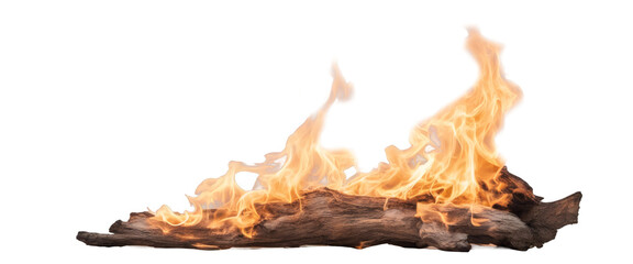 Blazing log fire burning with intense flames isolate on transparent background, cutout, png