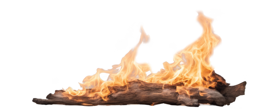 Blazing log fire burning with intense flames isolate on transparent background, cutout, png