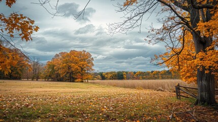 Naklejka premium An appealing overcast scenery during the fall season