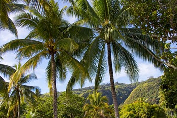 Obraz premium Spending a day at Vaiava beach on the island of Tahiti