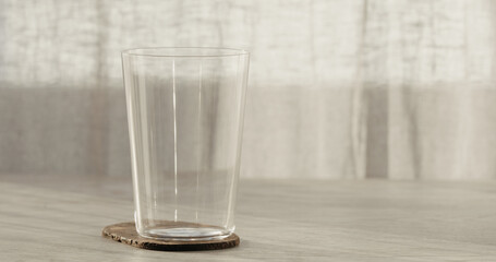 Pine forest after a large scale fire in France, Landscape of a burnt forest, New green vegetation after a forest fire