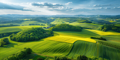 Rolling green hills under a bright blue sky with fluffy clouds and golden sunlight, creating a serene and picturesque rural landscape that stretches into the horizon.
