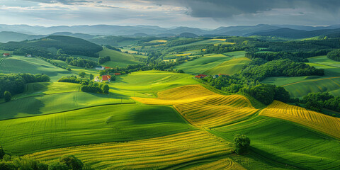 Fototapeta premium Rolling green hills under a bright blue sky with fluffy clouds and golden sunlight, creating a serene and picturesque rural landscape that stretches into the horizon. 