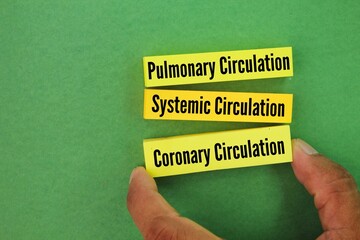There are three different types of circulation that occur regularly in the body, namely Pulmonary...