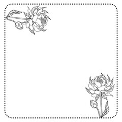 Floral frame or card featuring a rose in a vintage or botanical style illustration