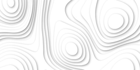 Abstract luxury white modern 3d papercut, topography map circle and wave line smooth multilayer pattern.  topographic canyon geometric map relief texture with curved layers and shadow.