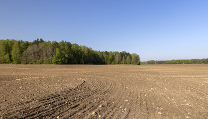 preparing the soil for sowing in spring