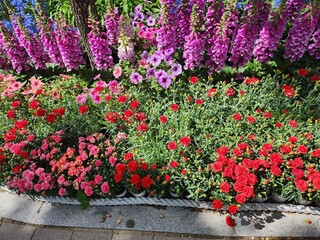 Korean urban flower gardens