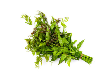 Neem leaves on wihte background.