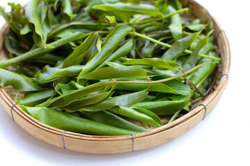 Young leaves of hog plum