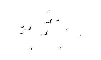 Flying Birds Vector And Illustration. 
