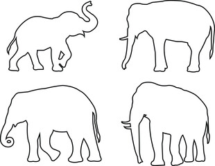 elephant wild animal icon set vector, sign, symbol, logo, editable stroke, line design style collection isolated on transparent background. elephant silhouette different side view use for web and app.